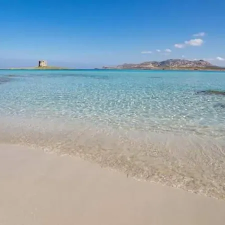 Apartment Al Mare